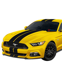 Stripes & Decals Mustang Stripes and Decals